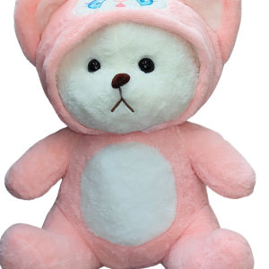 Soft Toy - Hoodie Teddy Bear