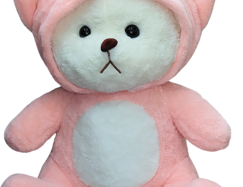 Soft Toy – Hoodie Teddy Bear